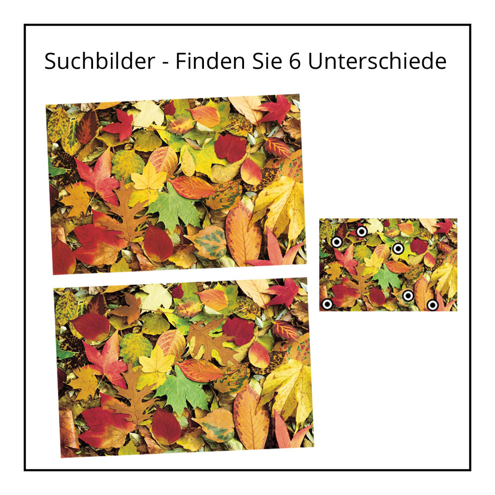Suchbilder von der Rätselschmiede