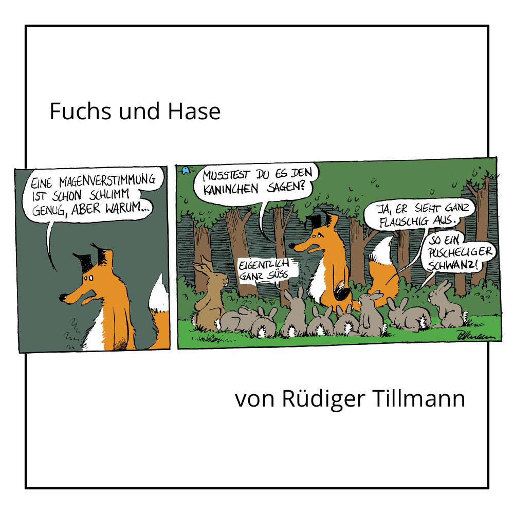 Comic "Fuchs und Hase" von Rüdiger Tillmann bei der Rätselschmiede