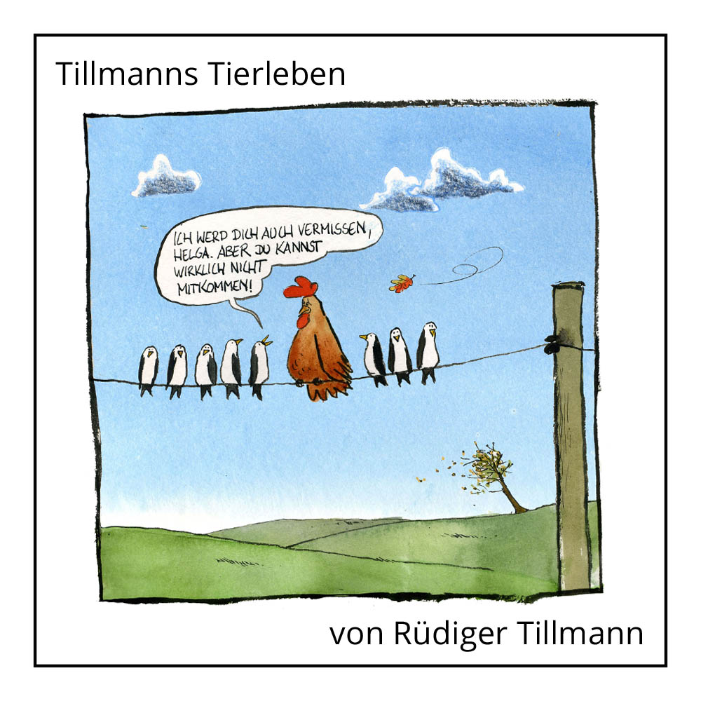 Cartoon "Tillmanns Tierleben" von Rüdiger Tillmann bei der Rätselschmiede