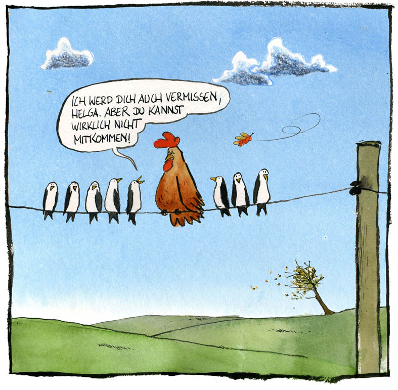Cartoon "Tillmanns Tierleben" von Rüdiger Tillmann bei der Rätselschmiede